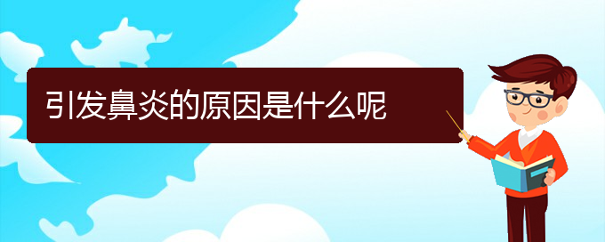 (看鼻炎貴陽哪家醫(yī)院好)引發(fā)鼻炎的原因是什么呢(圖1)