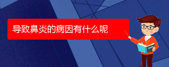 (貴陽(yáng)過(guò)敏性鼻炎怎么治啊)導(dǎo)致鼻炎的病因有什么呢(圖1)