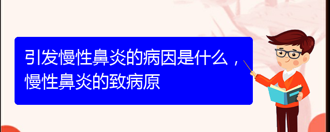 (貴陽中醫(yī)可以看慢性鼻炎嗎)引發(fā)慢性鼻炎的病因是什么，慢性鼻炎的致病原(圖1)