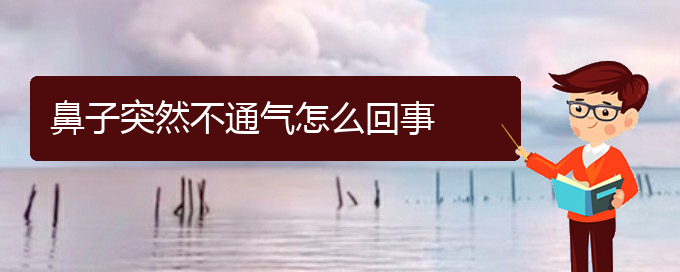 (貴陽慢性鼻炎看中醫(yī)還是西醫(yī))鼻子突然不通氣怎么回事(圖1)