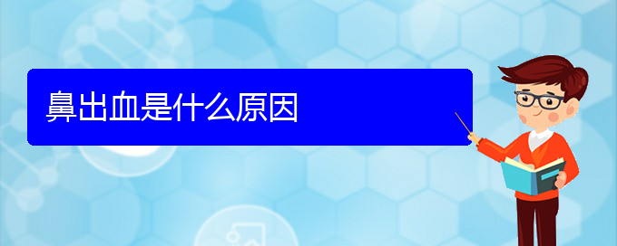 (貴陽鼻科醫(yī)院掛號(hào))鼻出血是什么原因(圖1)