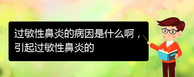 (貴州什么醫(yī)院治療過敏性鼻炎)過敏性鼻炎的病因是什么啊，引起過敏性鼻炎的(圖1)