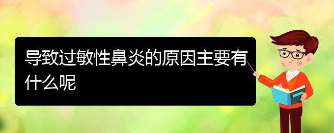 (貴陽(yáng)治療過(guò)敏性鼻炎的權(quán)威醫(yī)院)導(dǎo)致過(guò)敏性鼻炎的原因主要有什么呢(圖1)