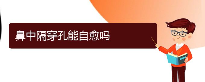 (貴陽(yáng)哪看鼻中隔偏曲好)鼻中隔穿孔能自愈嗎(圖1)