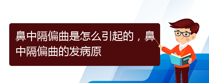 (貴陽一般看鼻中隔偏曲多少錢)鼻中隔偏曲是怎么引起的，鼻中隔偏曲的發(fā)病原(圖1)