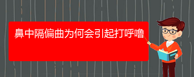 (貴陽(yáng)哪治療鼻中隔偏曲好)鼻中隔偏曲為何會(huì)引起打呼嚕(圖1)