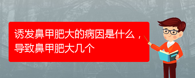 (貴陽鼻科醫(yī)院掛號)誘發(fā)鼻甲肥大的病因是什么，導(dǎo)致鼻甲肥大幾個(圖1)