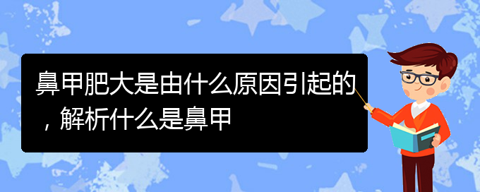 (貴陽鼻甲肥大如何治療)鼻甲肥大是由什么原因引起的，解析什么是鼻甲(圖1)