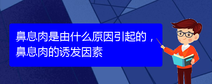 (看鼻息肉貴陽(yáng)哪個(gè)醫(yī)院好)鼻息肉是由什么原因引起的，鼻息肉的誘發(fā)因素(圖1)