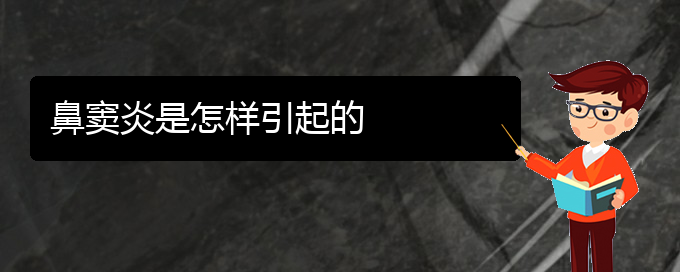 (貴陽附近那個(gè)醫(yī)院看鼻竇炎好)鼻竇炎是怎樣引起的(圖1)