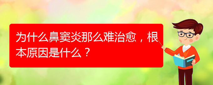 (貴陽(yáng)治療鼻竇炎要多少費(fèi)用)為什么鼻竇炎那么難治愈，根本原因是什么？(圖1)