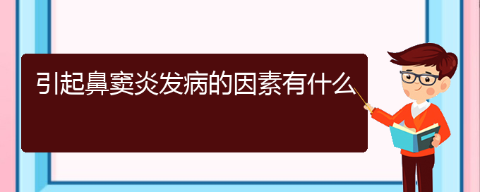 (貴陽鼻竇炎哪個醫(yī)院治療的好)引起鼻竇炎發(fā)病的因素有什么(圖1)