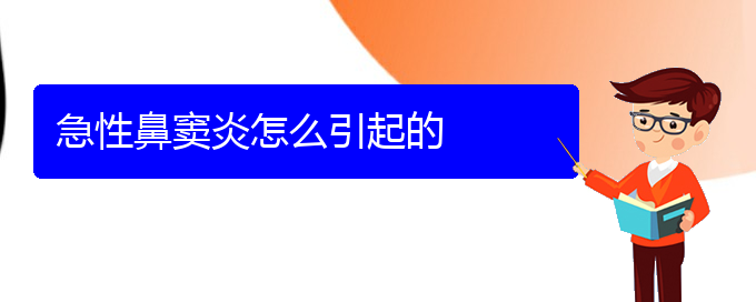 (貴陽(yáng)看鼻竇炎大概需要多少錢)急性鼻竇炎怎么引起的(圖1)