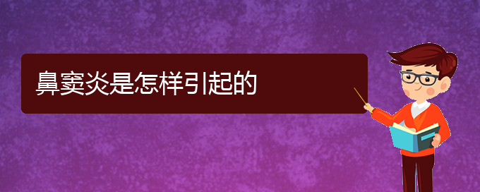 (貴陽附近那個醫(yī)院看鼻竇炎好)鼻竇炎是怎樣引起的(圖1)