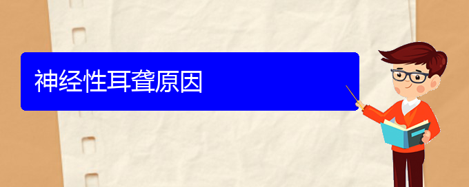 (貴陽耳科醫(yī)院掛號(hào))神經(jīng)性耳聾原因(圖1)